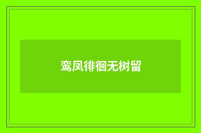 鸾凤徘徊无树留