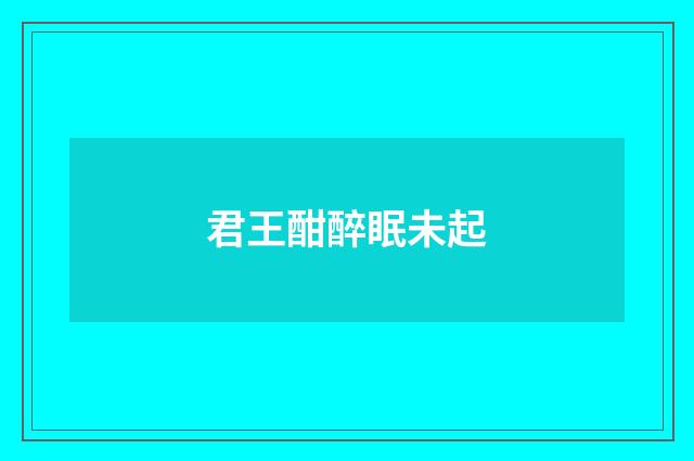 君王酣醉眠未起