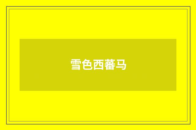 雪色西蕃马