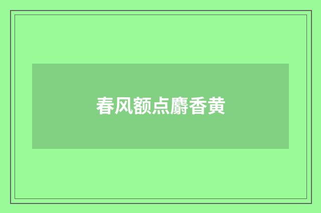 春风额点麝香黄