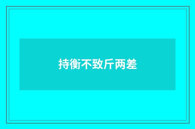 持衡不致斤两差