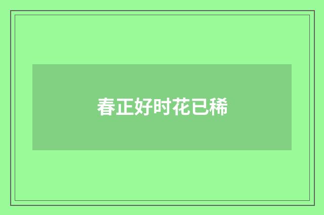 春正好时花已稀