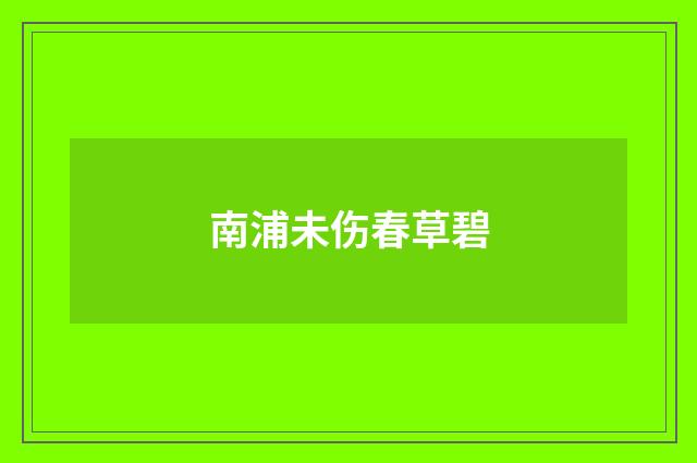南浦未伤春草碧