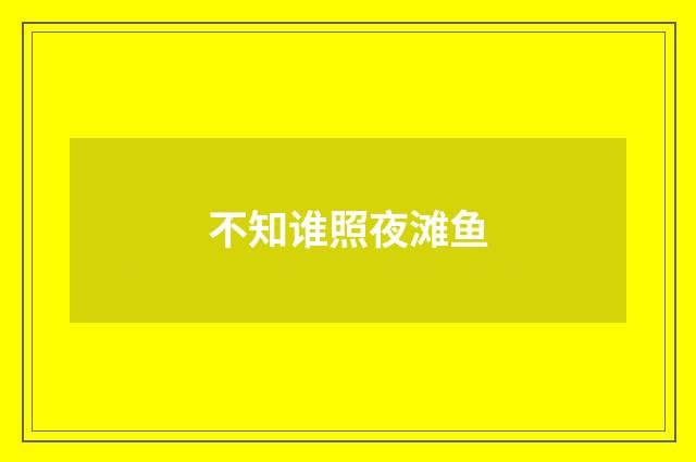 不知谁照夜滩鱼