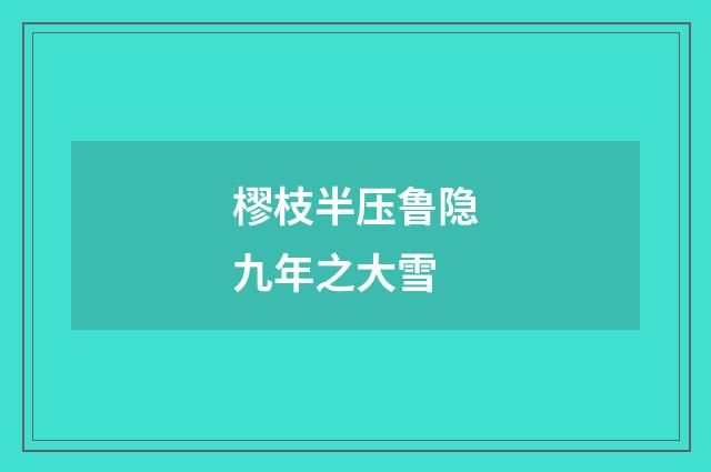 樛枝半压鲁隐九年之大雪