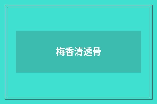 梅香清透骨