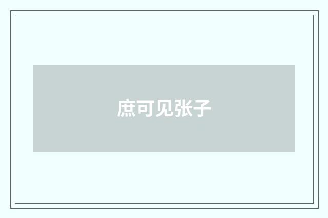 庶可见张子