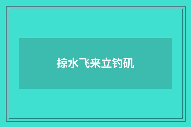 掠水飞来立钓矶