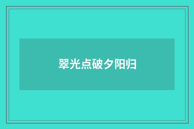 翠光点破夕阳归