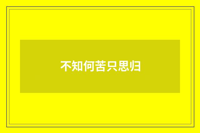 不知何苦只思归