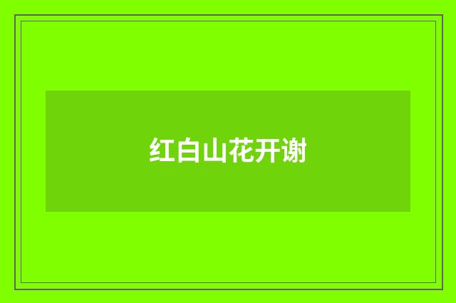 红白山花开谢