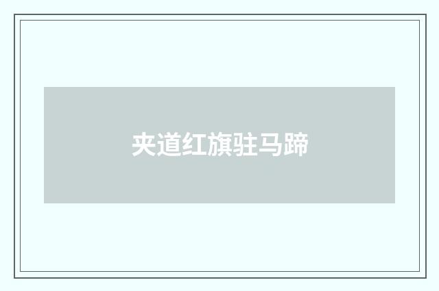 夹道红旗驻马蹄