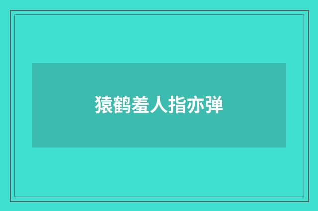 猿鹤羞人指亦弹