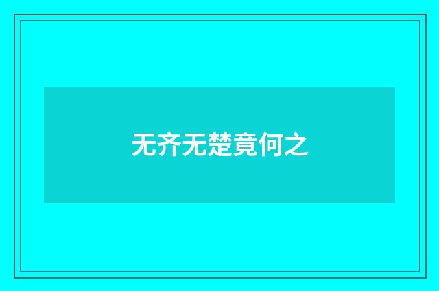无齐无楚竟何之