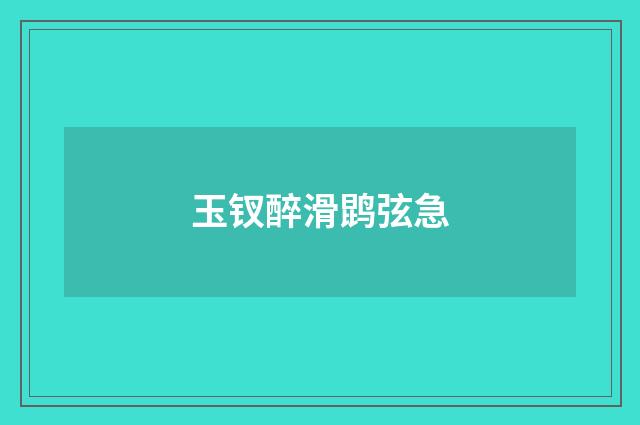 玉钗醉滑鹍弦急