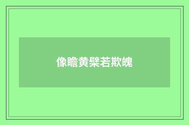 像瞻黄檗若欺魄