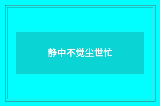 静中不觉尘世忙