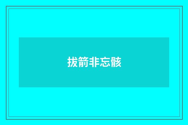 拔箭非忘骸