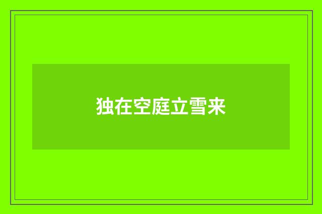 独在空庭立雪来
