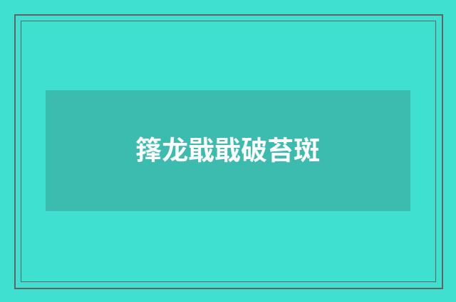 箨龙戢戢破苔斑