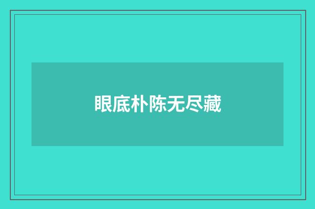 眼底朴陈无尽藏