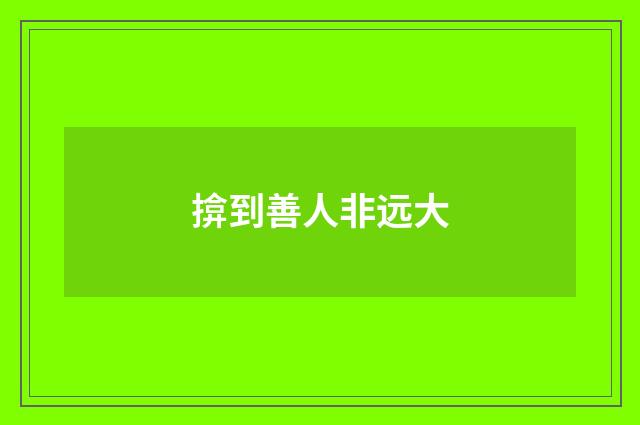 揜到善人非远大