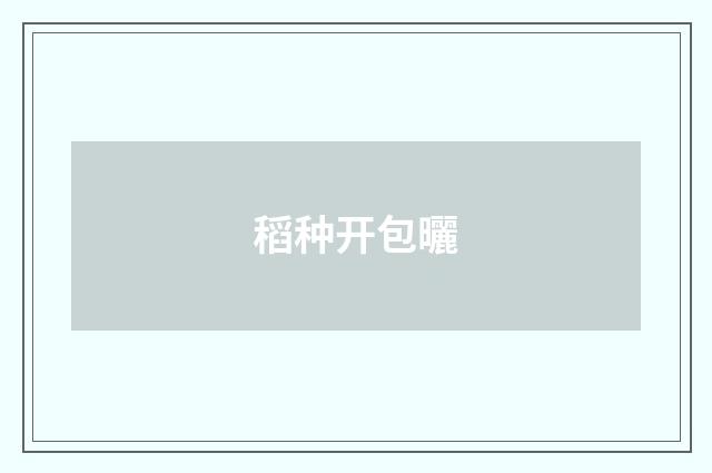 稻种开包曬