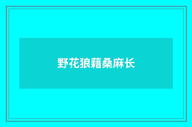 野花狼藉桑麻长