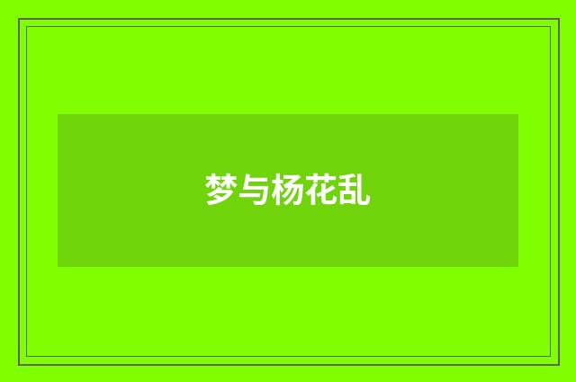 梦与杨花乱