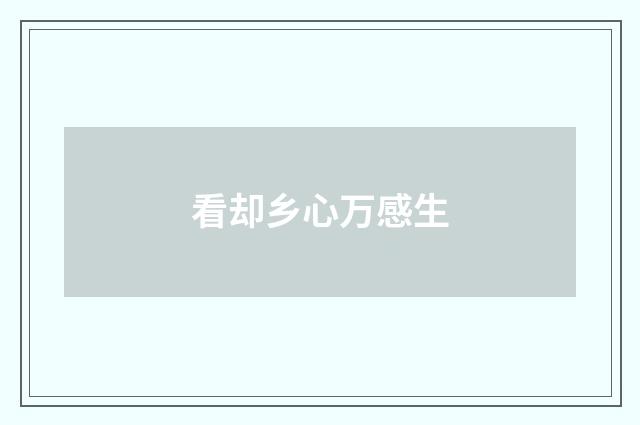 看却乡心万感生