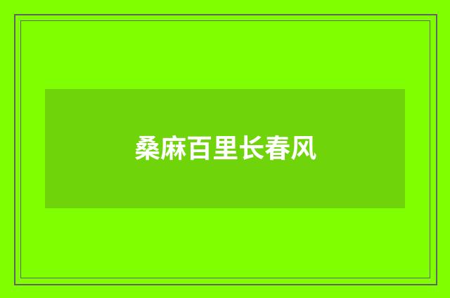 桑麻百里长春风