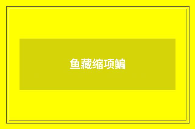 鱼藏缩项鳊