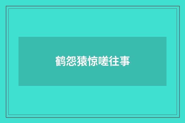 鹤怨猿惊嗟往事