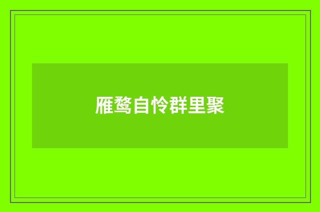 雁鹜自怜群里聚