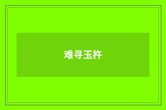 难寻玉杵