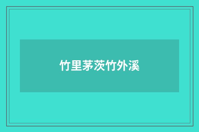 竹里茅茨竹外溪