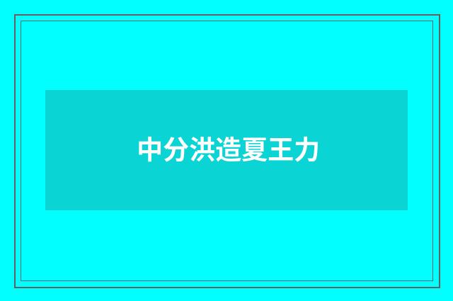 中分洪造夏王力
