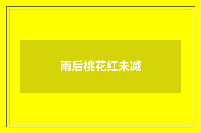 雨后桃花红未减