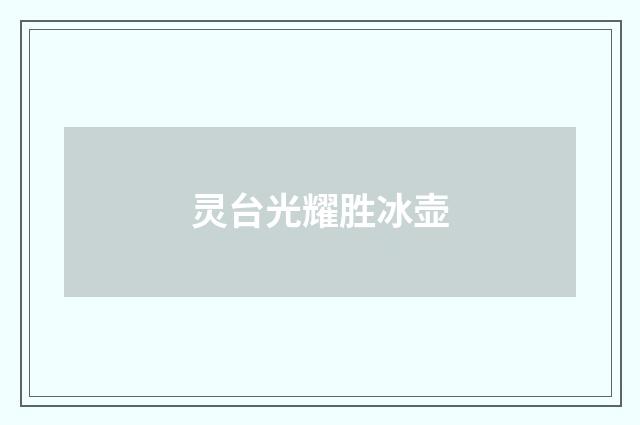 灵台光耀胜冰壶