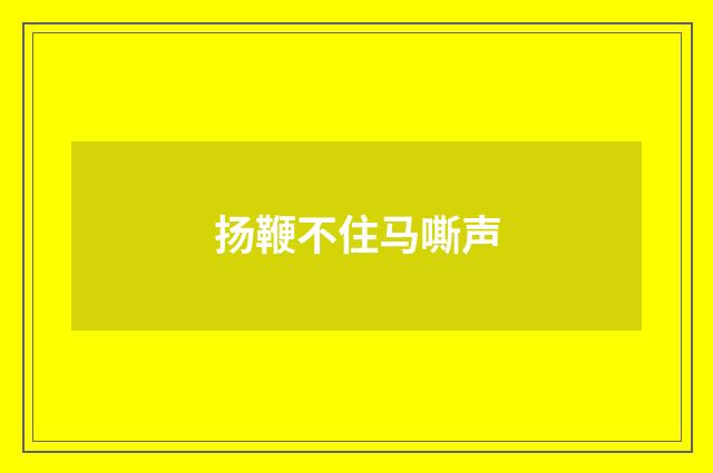 扬鞭不住马嘶声