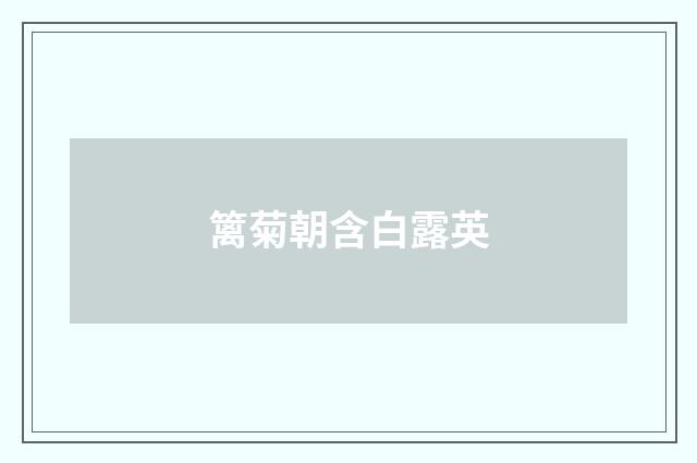 篱菊朝含白露英