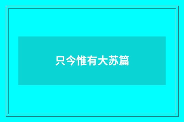只今惟有大苏篇