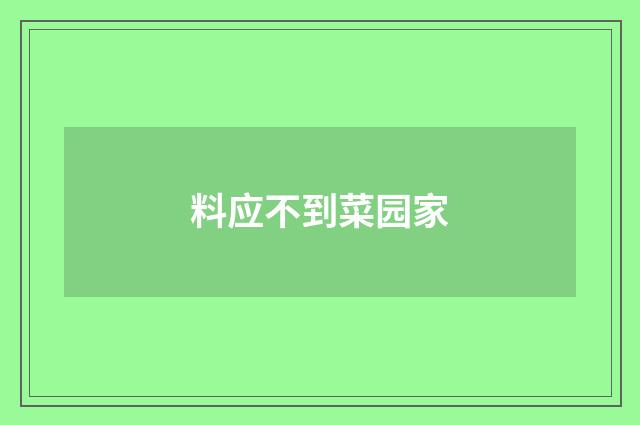 料应不到菜园家