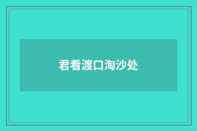 君看渡口淘沙处