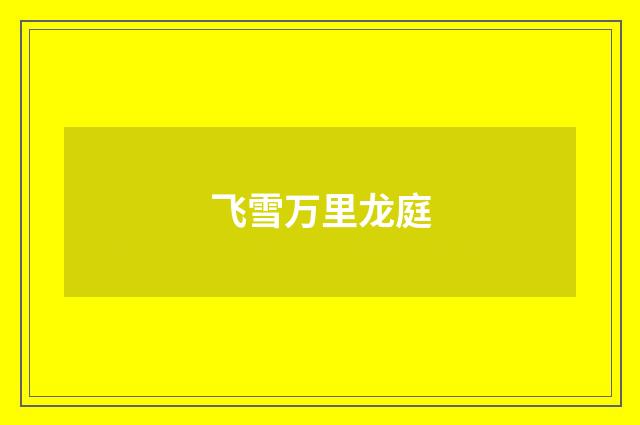 飞雪万里龙庭