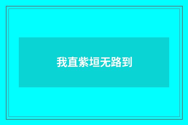我直紫垣无路到