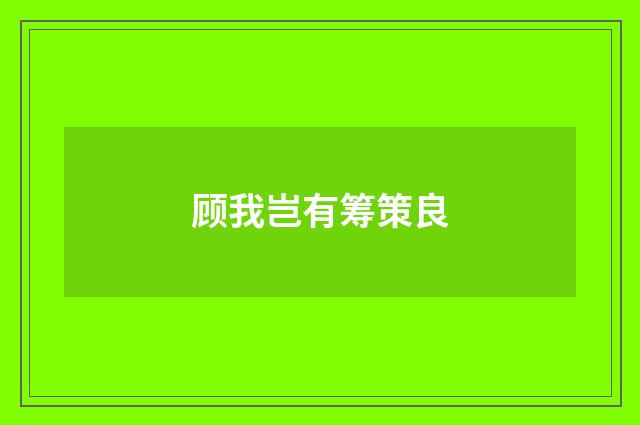 顾我岂有筹策良