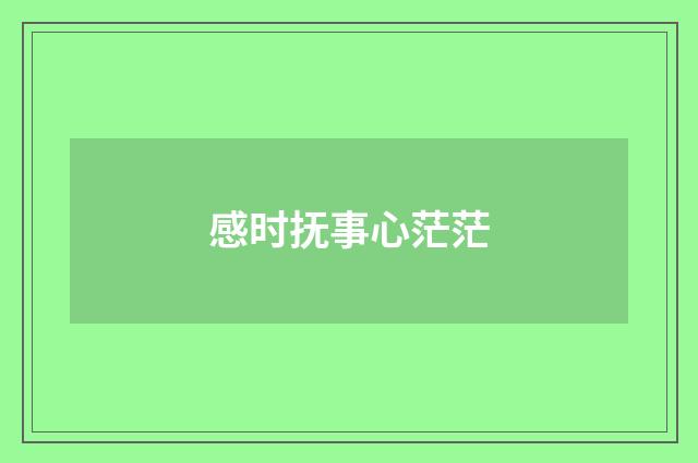 感时抚事心茫茫