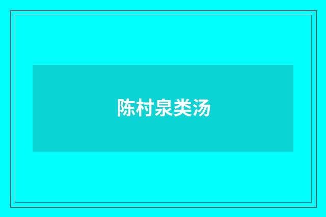 陈村泉类汤