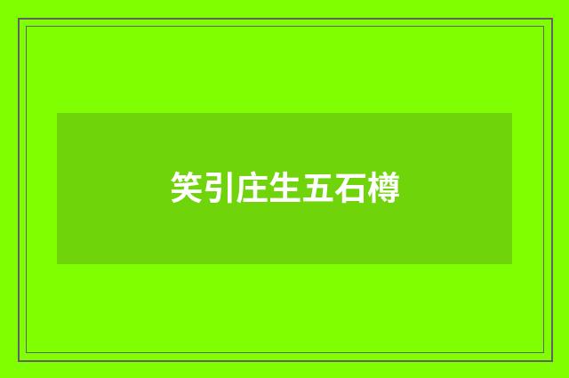 笑引庄生五石樽